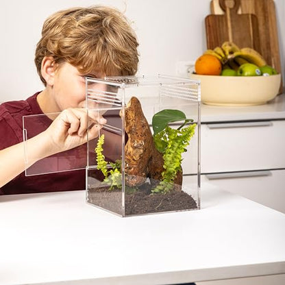 EctoTherm Jumping Spider Enclosure - for Habitat, Terrarium Kit and Arboreal Tarantula Enclosure - size: Medium