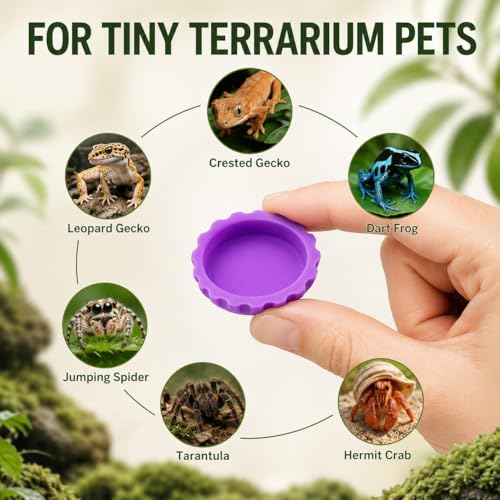 Meow&Woof Crested Gecko Feeding Cups, 6 Pack Small Silicone Reptile Food and Water Cups, 0.2 oz Gecko Food Dish for Crested Gecko, Leopard Gecko, Tarantula, Isopods and Hermit Crabs - color: 6 pack