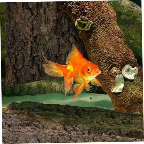 VANZACK 2pcs Reptile Cork Bark for Fish Tank Landscaping Natural Decorative Climbing Accessories for and Snake Habitats Safe Sturdy and Design