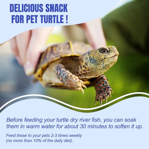 Amzey 2.3 oz Dried River Fish - Natural Food for Turtles, Terrapins, Reptiles and Large Tropical Fish - size: 2.3 Ounce (Pack of 1)