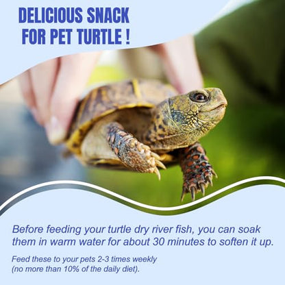 Amzey 3 Pack 0.8Oz (Total 2.4Oz or 68Gram Dried River Fish - Natural Food for Turtles, Terrapins, Reptiles and Large Tropical Fish - size: 0.8 Ounce (Pack of 3)
