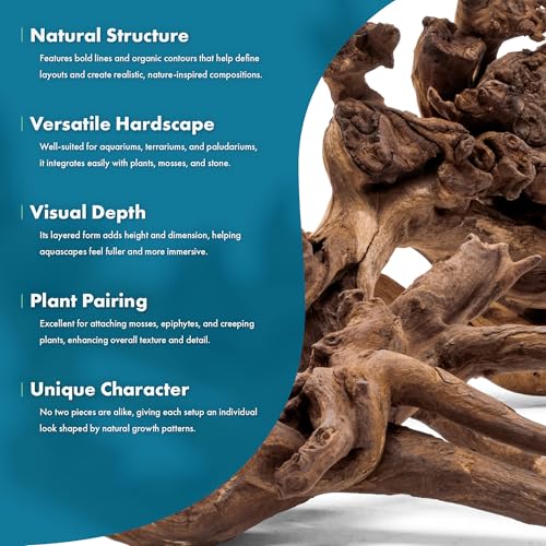 SubstrateSource Natural Aquarium Driftwood for Fish Tanks, Terrarium, Reptile Habitats, Freshwater Aquatic Decor - Small to Large Pieces (Amazon Wood (Small) 4-8", 3 Pieces)
