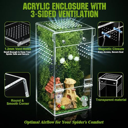 3"x3"x6.2" Jumping Spider Enclosure Kit – Escape-Proof Terrarium for Jumping Spiders, Small Insects – Complete Habitat with Spider Cage, Plants, Moss, and Accessories – Ideal Starter Kit