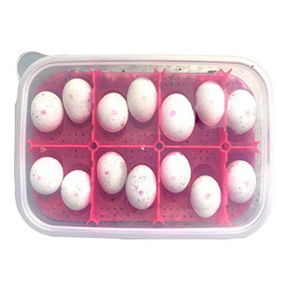 Reptile Breeding Box OMEM Reptile Lizard Incubation Box, Hatchery Box, Suitable for Hatching Snake, Lizards, Lions Mane, Reptiles (Transparent) - color: Transparent