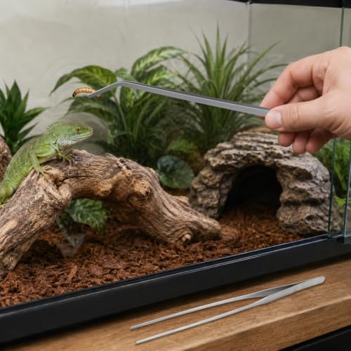 2PCS Reptile Feeding Tongs 10.6 Inch, Straight and Curved Stainless Steel Tweezers for Bearded Dragon, Snake, Gecko, Amphibian Health & Terrarium Maintenance