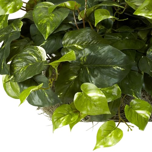 Nearly Natural 15in. Pothos Ledge Plant (Set on Foam) Silk Plant,Green