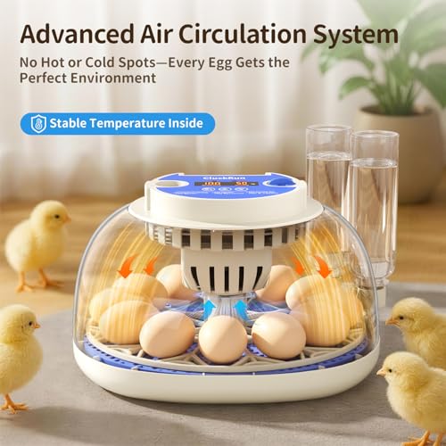 12 Egg Incubators for Hatching Eggs, Temperature and Humidity Control, Automatic Egg Turning, Egg Candler, Automatic Water Refill, for Chicken, Quail & Duck Eggs, Perfect for Home, Farm, Classroom - size: 12 Eggs