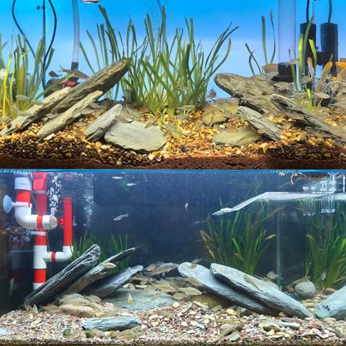 Aquarium Rocks Stream Turtle Platform Natural Slate 3-8 inches Basking Rock for Aquarium Decoration Turtle Tanks Amphibian Reptile Terrariums-10lb - size: 10lb(3-8inch)