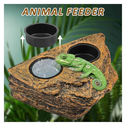 Magnetic Reptile Feeder Ledge Reptile Food Water Dish with 2 Bowl Gecko Lizards Tree Frogs Chameleons Tank Feeder Ledge