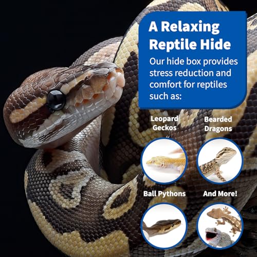 Pangea Reptile Hide Box (C- Medium), Black - size: C- Medium
