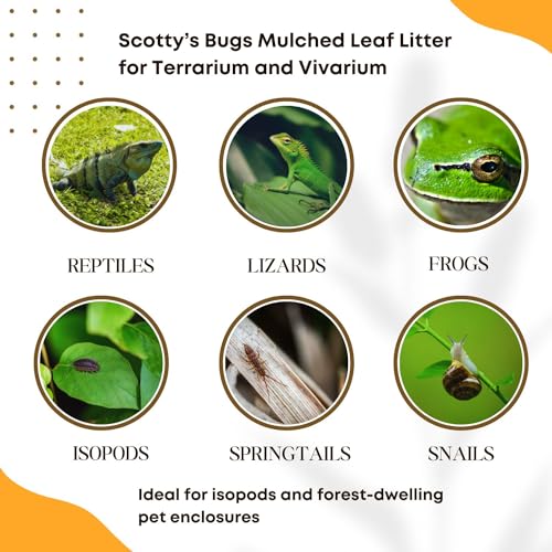SCOTTY'S BUGS Mulched Leaf Litter for Reptiles, Isopods Live & Snails, Isopod Substrate, Terrarium Bedding, Organic Leaves from Natural Woodlands, 12-Ounce Pack - size: 12oz
