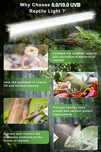24W T5 HO UVB Reptile Light Fixture Kit, Terrarium Hood Light with Desert UVB 10.0 Fluorescent Tube, Ideal for Tropical and Desert Habitats - size: 22 In