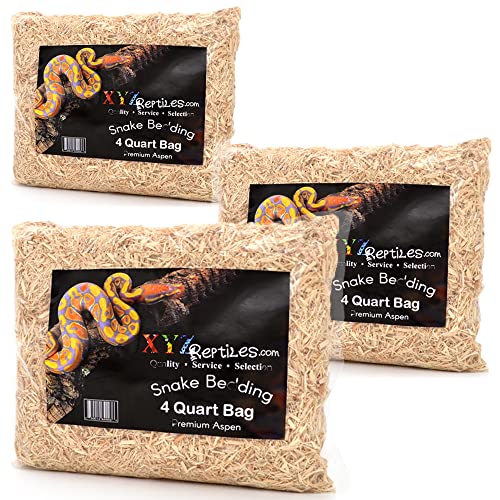 XYZReptiles Premium Aspen Snake Bedding Reptile Bedding Terrarium Bedding 4 Quart Bag