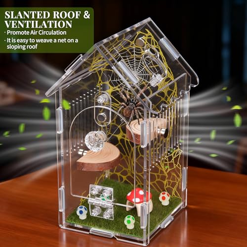 Hysagtek Jumping Spider Enclosure - Acrylic Arboreal Tarantula Enclosure Small Reptile Terrarium with Magnetic Door, Clear Jumping Spider Enclosure Accessories