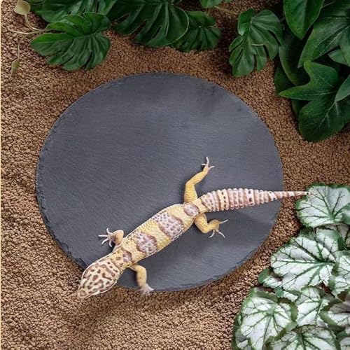 5.9inch Reptile Basking Platform Rock Tortoise Habitat Slate Rock for Reptiles Food Dish Landscape Habitat Decor Accessories for Crested Gecko Lizard Bearded Dragon Turtle