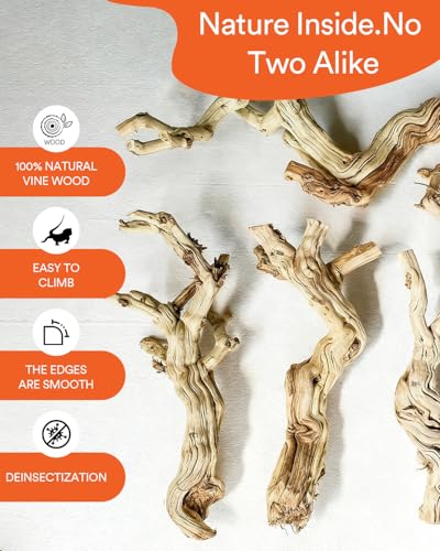 3Pcs Bearded Dragon Wood Branch, Large 14-17 Inch Reptile Wood Logs for ClimbingTerrarium Habitat Decor for Geckos, Chameleons, Frogs & Spiders - size: 1Pcs