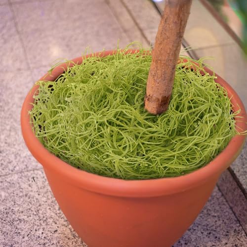 Giegxin Spanish Moss 41'' Fake Hanging Succulents Faux Moss Artificial Succulent Plants Vines Hanging Plants Swamp Decoration Potted Artificial Garland(Grayish Green,12 Pack) - color: Grayish Green