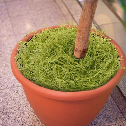 Giegxin Spanish Moss 41'' Fake Hanging Succulents Faux Moss Artificial Succulent Plants Vines Hanging Plants Swamp Decoration Potted Artificial Garland(Grayish Green,12 Pack) - color: Grayish Green