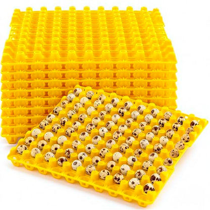 Teenyyou 10 Pcs 90 Egg Plastic Trays Quail Egg Flats Holder for Quail Pigeon Dove Bird Flat Carton (Yellow) - color: Yellow