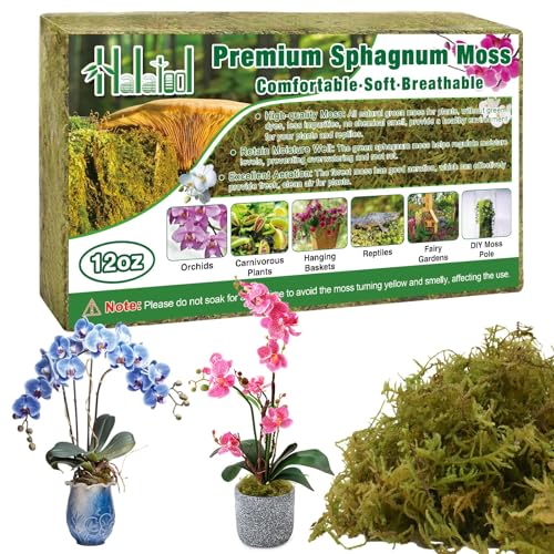 Halatool 12OZ Premium Sphagnum Moss for Plants, 18QT Green Moss for Plants Indoor Potted Orchid Moss for Repotting Succulent Carnivorous Terrarium Gardening Reptiles - color: 12 oz
