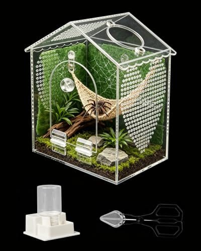BestYiJo Jumping Spider Enclosure, 6 * 5 * 8" Lengthen Seamless Acrylic Terrarium with Feeder and Waterer – Ideal for Jumping Spiders, Praying Mantis, Scorpions, Hermit Crabs & Micro Reptiles