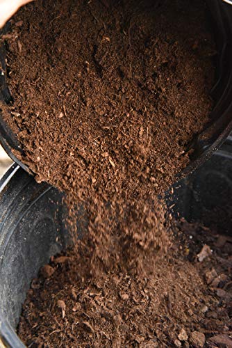 Organic Sphagnum Peat Moss by Perfect Plants - 8 Dry Quarts Absorbs Essential Nutrients When Added to Soil and Enriches Plant Roots - Indoor and Outdoor Soil Medium and Acidifier - size: 8qts.