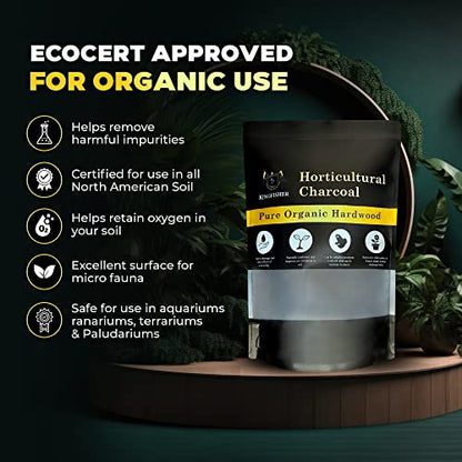 Organic Horticultural Charcoal & Terrarium Charcoal | Charcoal for Plants | Pure Hardwood Charcoal for Planting and Gardening | Organic Canadian Maple Biochar - size: 1 Quart