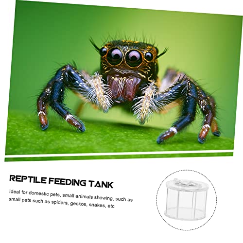 Sosoport Acrylic Reptile Viewing Box Breeding Container for Turtles Spiders Snakes Crabs
