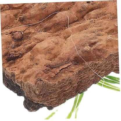 20pcs Natural Cork Bark Reptile Tank Decor Tree Bark Hide for Terrarium Background Climbing Habitat Aquarium Accessory for Lizards Snakes Turtles