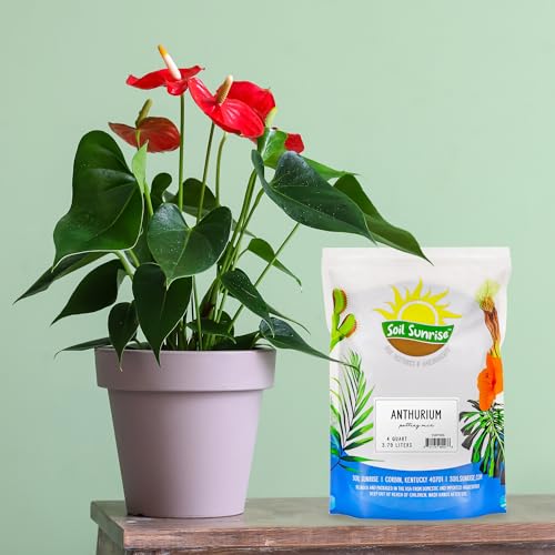 Soil Sunrise Anthurium Plant Potting Soil Mix (4 Quarts) Indoor Houseplant Custom Blend for Flowering Anthuriums - size: 4 Quarts