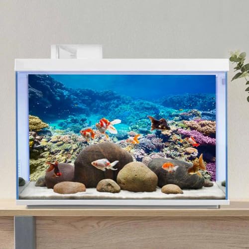 AWERT Aquarium Background Coral Reef Tropical Fish Undersea Fish Tank Background 48x20 inches Durable Polyester Background - size: 48 x 20 in