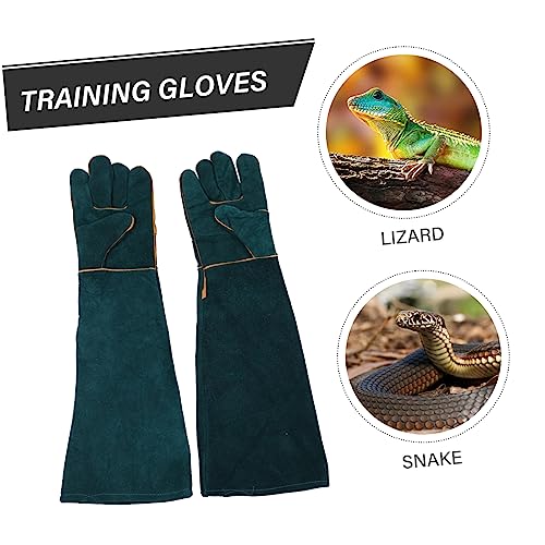 Abaodam 2pcs Pet Feeding Cowhide Gloves Reptile Pet Bite Resistant Protective Gloves for Dogs