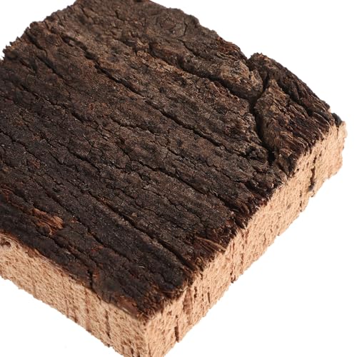 4pcs Cork Terrarium Background: Terrarium Bark Background Cork - Natural Bark Backdrop - Reptile Climbing Wall Accessories 2.36x2.36 - size: 6.00X6.00X2.00CM