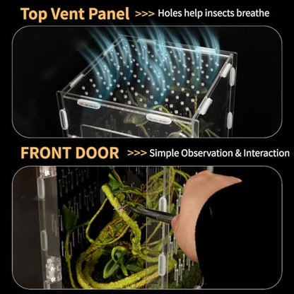 Acrylic Reptile Terrarium Easy Assembly, 360° Clear & Keep Pet Secure Design for Jumping Spiders, Tarantulas, Geckos Scratch-Resistant Large Ventilated Habitat Terrarium for Arachnids 9.8*5.9*5.9in - size: Medium-9.8*5.9*5.9in