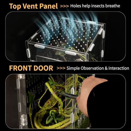 Acrylic Reptile Terrarium Easy Assembly, 360° Clear & Keep Pet Secure Design for Jumping Spiders, Tarantulas, Geckos Scratch-Resistant Large Ventilated Habitat Terrarium for Arachnids 9.8*5.9*5.9in - size: Medium-9.8*5.9*5.9in