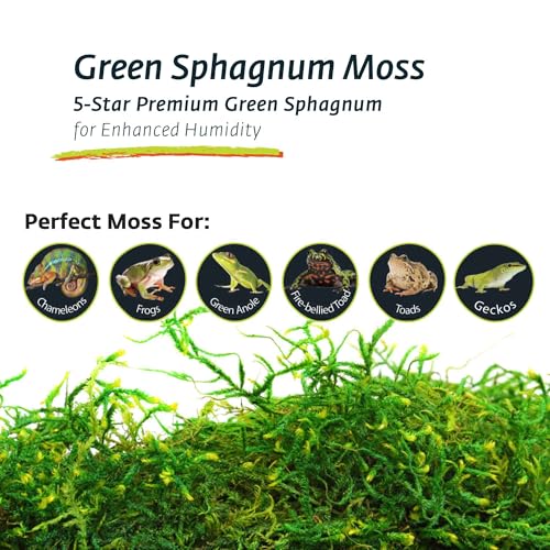 Galapagos (05211) Terrarium Sphagnum Moss, Fresh Green, 150in3 Header Bag