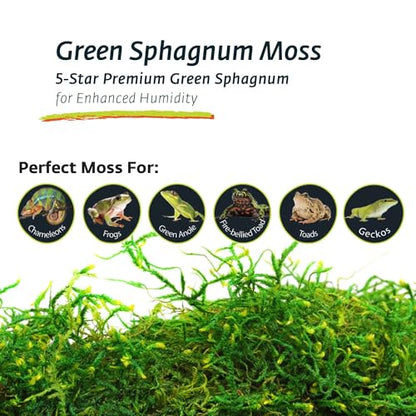 Galapagos (05211) Terrarium Sphagnum Moss, Fresh Green, 150in3 Header Bag