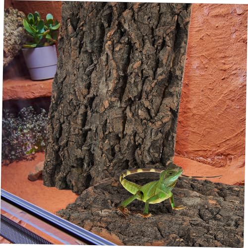 BESPORTBLE 2pcs Cork Bark Reptile Decor for Climbing Tanks Background for Terrarium and Aquarium for Lizards Bearded Dragons