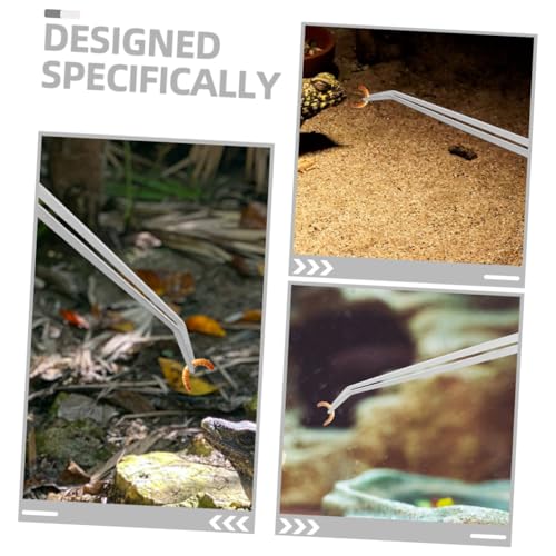 Toddmomy 2pcs Feeding Tongs Plant Curve Aquarium Tweezers Bearded Dragon Food Tongs Tweezers Feeding Fish for Terrarium Extra Long Reptile Supply Silver Stainless Steel
