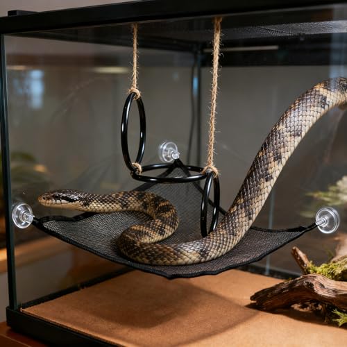 2PCS Snake Enrichment, DIY Snake Climbing Toys with Hammock, Reptiles Tank Accessories for Corn Snakes, Bearded Dragon, Chameleon, Ball Python Tank Accessories (Set) - color: Ring And Hammock