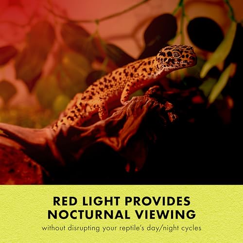 Zilla Reptile Terrarium Incandescent Heat Spot Bulb, Night Red, 150 Watts - size: Pack of 1, style: Night Red (150W)
