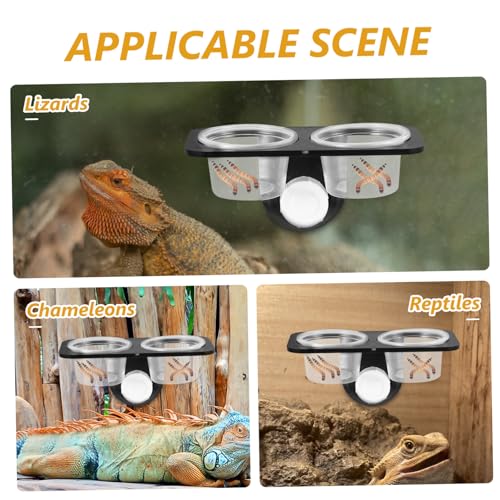 BESPORTBLE 3pcs Crested Gecko Accessories Pet Bowls Reptile Food Container Suction Cup for Tank Easy to