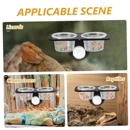 BESPORTBLE 3pcs Crested Gecko Accessories Pet Bowls Reptile Food Container Suction Cup for Tank Easy to