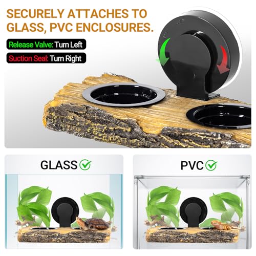 2 in 1 Reptile Feeding Ledge & Turtle Basking Platform, Resin Suction Cup Feeder with 4PCS Cups, Terrarium Water Bowl Food Dish - Tank Accessories for Crested Gecko Lizards & Aquatic Turtles