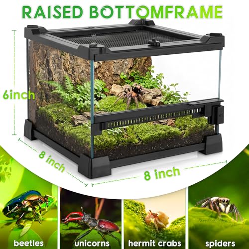 8"x8"x6" Reptile Terrarium, Single-Door Glass Terrestrial Vivarium for Small Arthropod Pets Such as Trinidad Dwarf Tiger Tarantulas, with Lock & Waterproof Deep Base Below Front Door