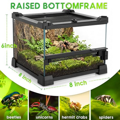 8"x8"x6" Reptile Terrarium, Single-Door Glass Terrestrial Vivarium for Small Arthropod Pets Such as Trinidad Dwarf Tiger Tarantulas, with Lock & Waterproof Deep Base Below Front Door