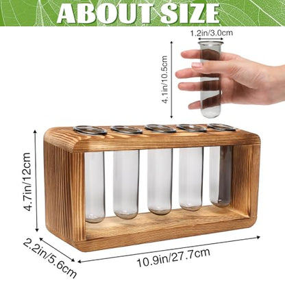 Glass Plant Propagation Station with 5 Test Tubes Colorful Planter Vase Birthday Gifts for Women in Wooden Stand - color: Gray