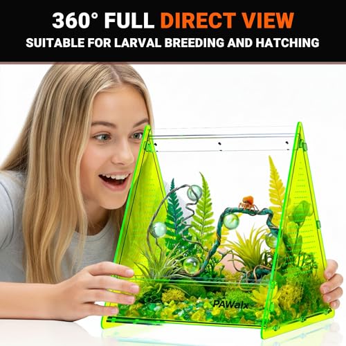 Triangular Jumping Spider Enclosure, Acrylic Terrarium with Magnetic Doors, 0.8mm Micro-Ventilation& Escape-Proof Design for Tarantulas, Lizards, Small Pets (Green,9.4"x10.9"x10.6") - size: 1Pack, Green,9.4"x10.9"x10.6"