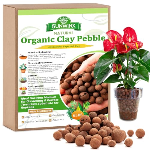 6 LBS Natural Leca Clay Pebbles for Plants- 4-16mm Expanded Clay Leca Balls for Indoor Plants, Hydroton Clay Pebbles for Plants Hydroponic & Aquaponics Growing, Orchids, Drainage, Terrarium - color: 6LB