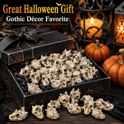 20PCS Miniature Dragon Skull Ornaments for Aquarium Decorations, Tiny Dinosaur Bones for Succulent Plant Pots, Gothic Fairy Garden Terrarium Kit